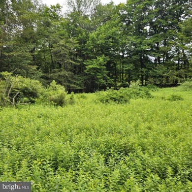 Lake-view lot with a valid perc test already completed and ready - photo 5