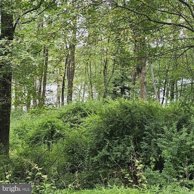 Lake-view lot with a valid perc test already completed and ready - photo 6