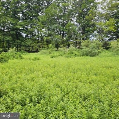 Lake-view lot with a valid perc test already completed and ready - photo 7