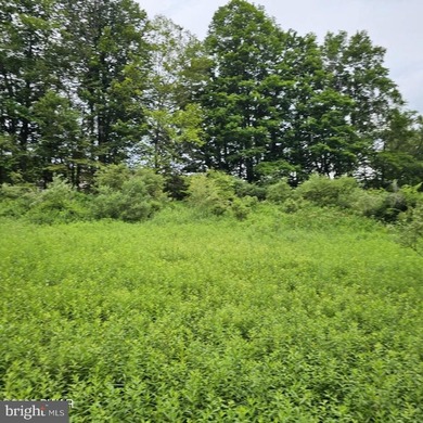 Lake-view lot with a valid perc test already completed and ready - photo 8