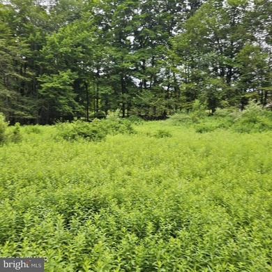 Lake-view lot with a valid perc test already completed and ready - photo 9