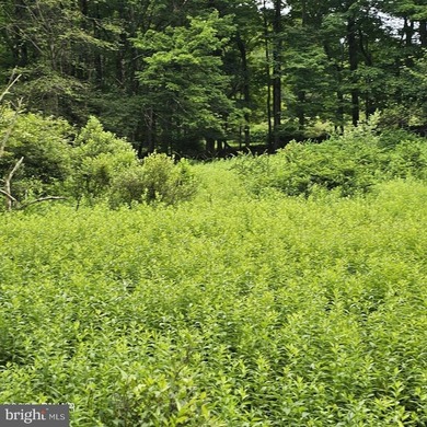 Lake-view lot with a valid perc test already completed and ready - photo 10