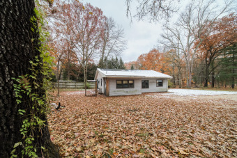 Tallman Lake Home For Sale in Fountain Michigan
