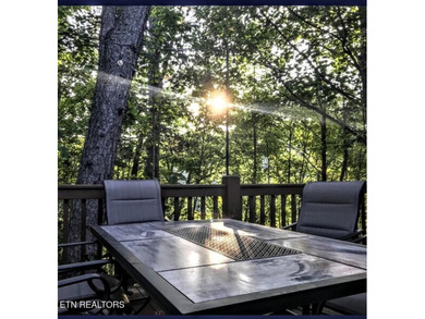 Private mountain cabin situated on approximately 0.88 acres in - photo 45