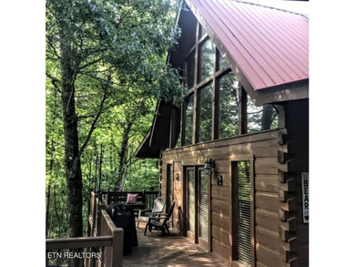 Private mountain cabin situated on approximately 0.88 acres in - photo 47