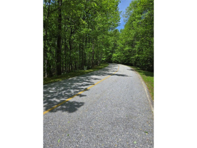 Lake Lot For Sale in Lake Toxaway, North Carolina