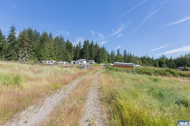 Lovely setting in desirable area of Sequim to set down your - photo 2