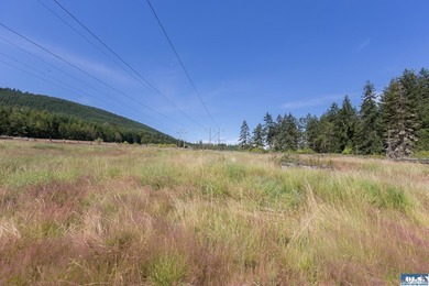 Lovely setting in desirable area of Sequim to set down your - photo 3