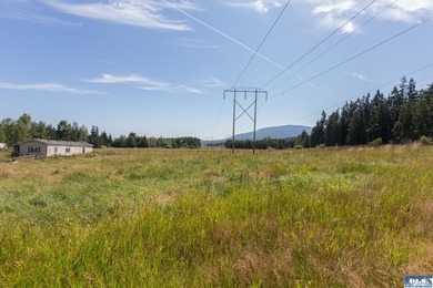 Lovely setting in desirable area of Sequim to set down your - photo 5