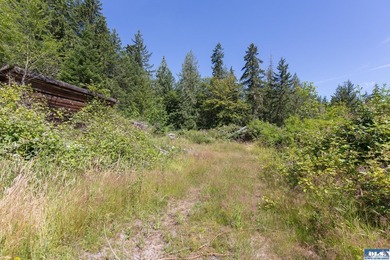 Lovely setting in desirable area of Sequim to set down your - photo 6