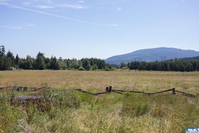 Lovely setting in desirable area of Sequim to set down your - photo 7