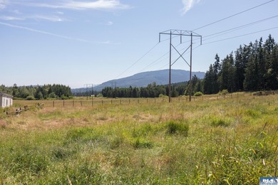 Lovely setting in desirable area of Sequim to set down your - photo 9