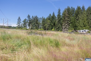 Lovely setting in desirable area of Sequim to set down your - photo 10