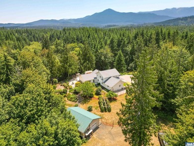 Escape to nearly ten private, wooded acres in Port Angeles - photo 1