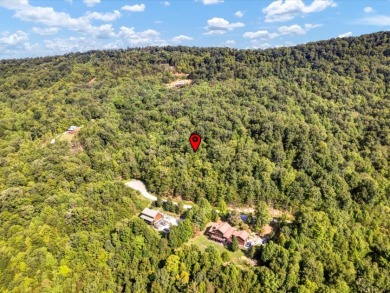 Norris Lake access "¢ 3.39 wooded acres - photo 9