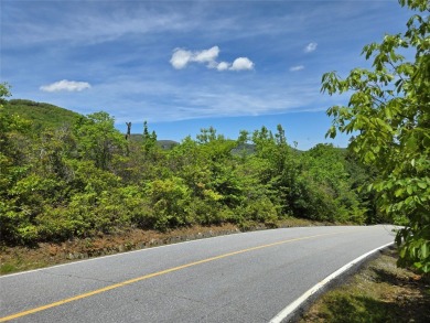 Lake Acreage For Sale in Lake Toxaway, North Carolina