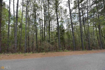 Lake Harding Lot For Sale in Valley Alabama