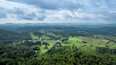 (private lake, pond, creek) Home For Sale in Independence Virginia