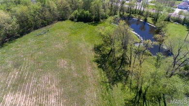 (private lake, pond, creek) Acreage For Sale in Benld Illinois