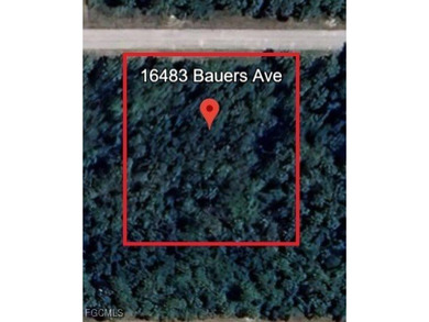 Vacant residential lot located at 16483 Bauers Ave, Port - photo 3