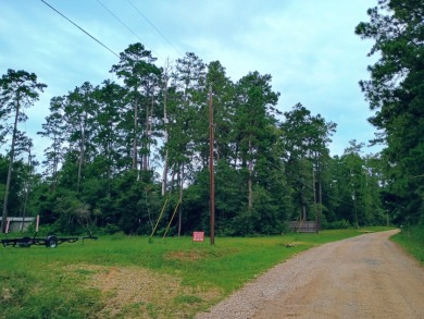 Private Lakes, Golf Cart Friendly, .35 acre - Lake Lot For Sale in Woodville, Texas