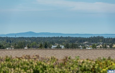 Perched above Sequim, this beautifully updated 3-bedroom, 2-bath - photo 2
