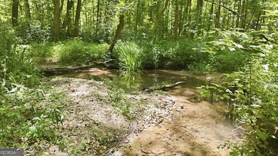 PICTURESQUE NORTHEAST GEORGIA SETTING OF 3 PRIVATE, WOODED ACRES - photo 12