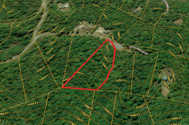 Norris Lake access "¢ 3.39 wooded acres - photo 6
