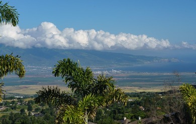 Near the top of The Ridge at Kulamanu, in a private cul-de-sac - photo 26