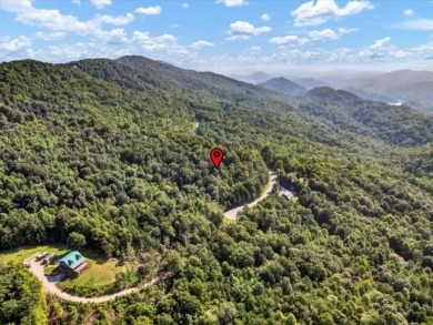 Norris Lake access "¢ 3.39 wooded acres - photo 11