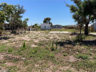 FLAMINGO BAY FULL 80'X180' LOT...Great opportunity to enjoy the - photo 3