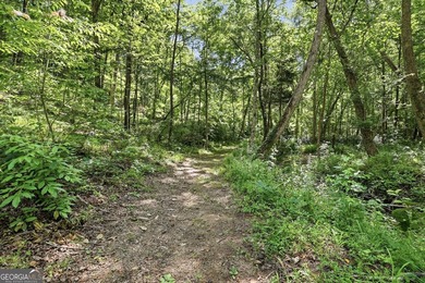 PICTURESQUE NORTHEAST GEORGIA SETTING OF 3 PRIVATE, WOODED ACRES - photo 33