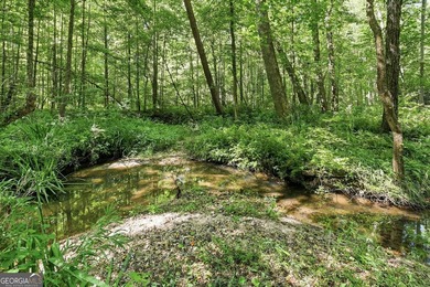 PICTURESQUE NORTHEAST GEORGIA SETTING OF 3 PRIVATE, WOODED ACRES - photo 35