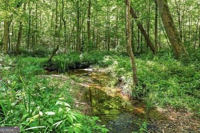 PICTURESQUE NORTHEAST GEORGIA SETTING OF 3 PRIVATE, WOODED ACRES - photo 36
