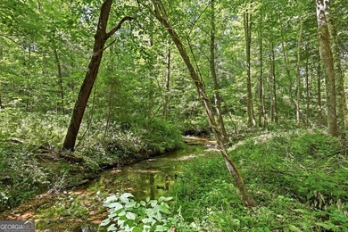PICTURESQUE NORTHEAST GEORGIA SETTING OF 3 PRIVATE, WOODED ACRES - photo 37