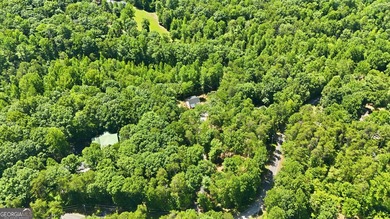 PICTURESQUE NORTHEAST GEORGIA SETTING OF 3 PRIVATE, WOODED ACRES - photo 40
