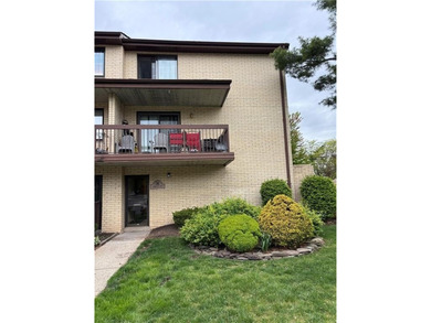 Elmwood Park Condominium! This bright and airy 3rd-floor unit - photo 2