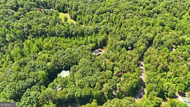 PICTURESQUE NORTHEAST GEORGIA SETTING OF 3 PRIVATE, WOODED ACRES - photo 42