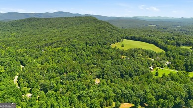 PICTURESQUE NORTHEAST GEORGIA SETTING OF 3 PRIVATE, WOODED ACRES - photo 43