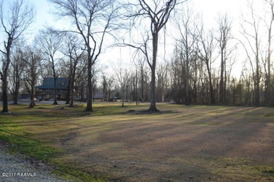 (private lake, pond, coastal) Lot For Sale in Breaux Bridge Louisiana