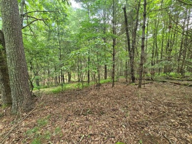 (private lake, pond, creek) Acreage For Sale in Independence Virginia
