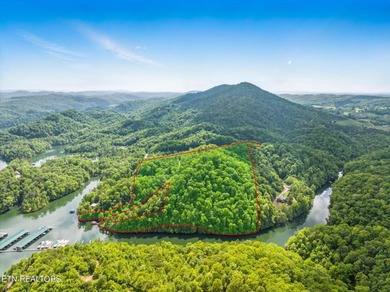 (private lake, pond, creek) Acreage For Sale in Tazewell Tennessee