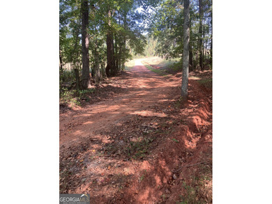 (private lake, pond, creek) Acreage For Sale in Moreland Georgia