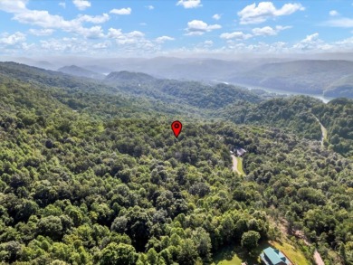 Norris Lake access "¢ 3.39 wooded acres - photo 4