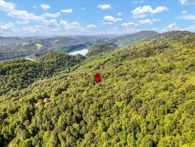 Norris Lake access "¢ 3.39 wooded acres - photo 3