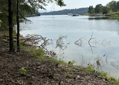 Lake Acreage For Sale in White Pine, Tennessee