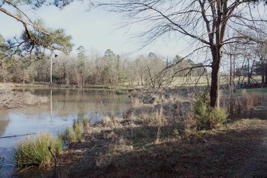 (private lake, pond, coastal) Acreage For Sale in Gilmer Texas