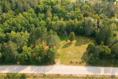 Lake Acreage For Sale in Deer River, Minnesota