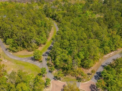 Exclusive Opportunity to own a great lot, just shy of an acre in - photo 2