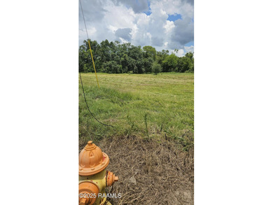 This .412 acre lot has a culvert installed for the driveway and - photo 3